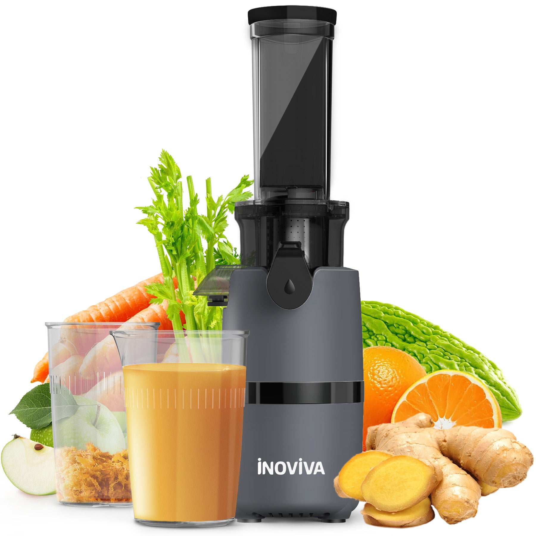 Inoviva Kaltpress-Entsafter – Kompakter Slow Juicer für Obst und Gemüse