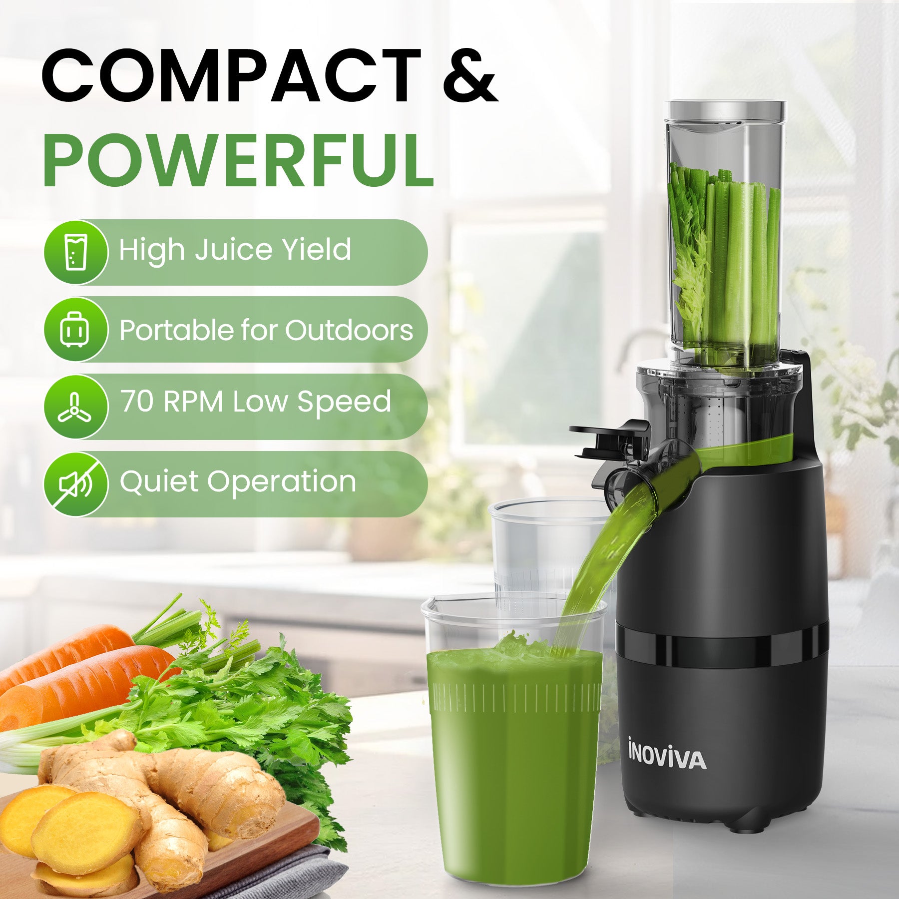 Inoviva Kaltpress-Entsafter – Kompakter Slow Juicer für Obst und Gemüse