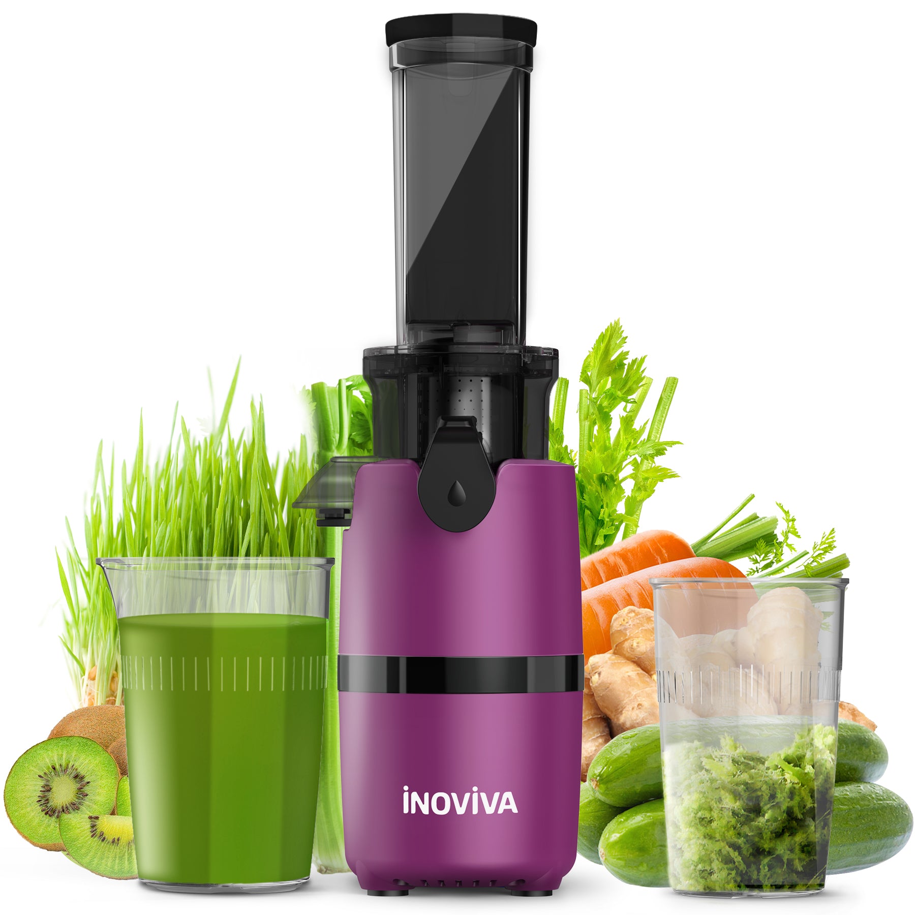 Inoviva Kaltpress-Entsafter – Kompakter Slow Juicer für Obst und Gemüse