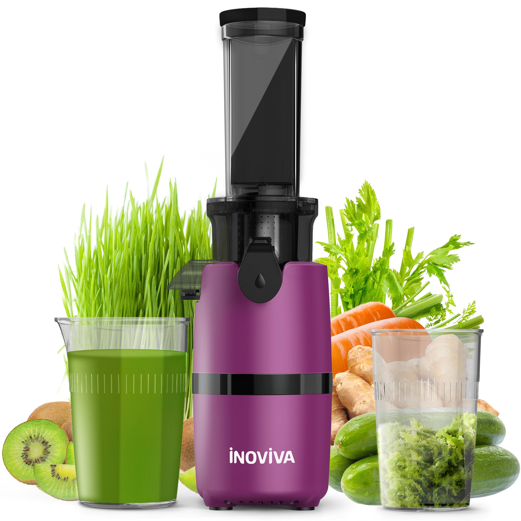 Inoviva Cold Press Juicer